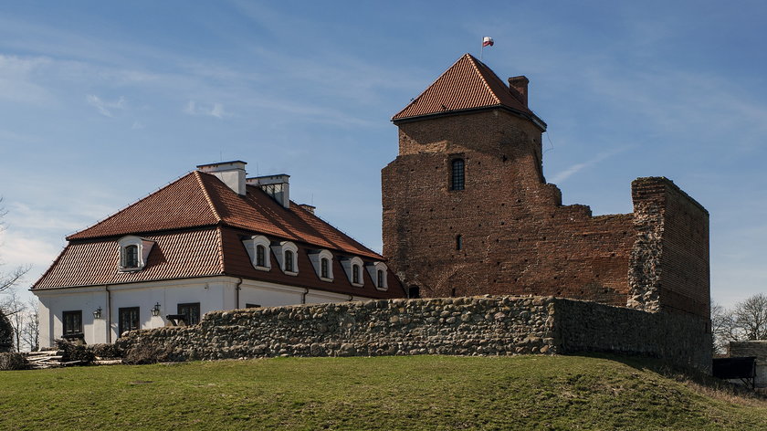 Zamek w Liwie
