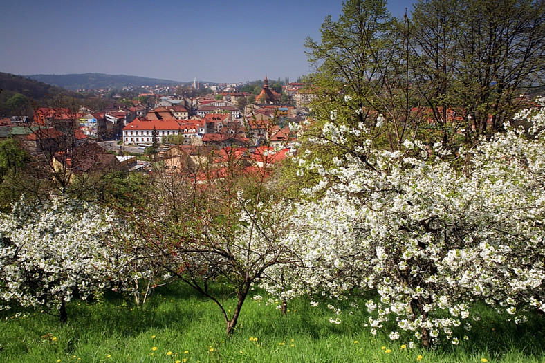 Bochnia, wiosenna panorama miasta