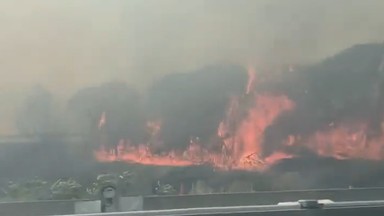 Płonie nie tylko Grecja. Ogień trawi też Francję [WIDEO]