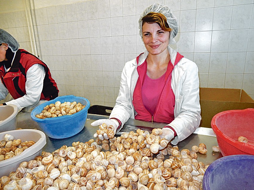 Oduševljena uslovima na poslu: Radnica Snežana Ilić (27)