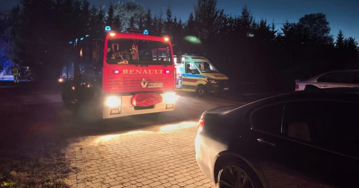 Na Antka spadł konar drzewa i go zabił. Ojciec chwilę wcześniej miał w rękach narzędzie do piłowania