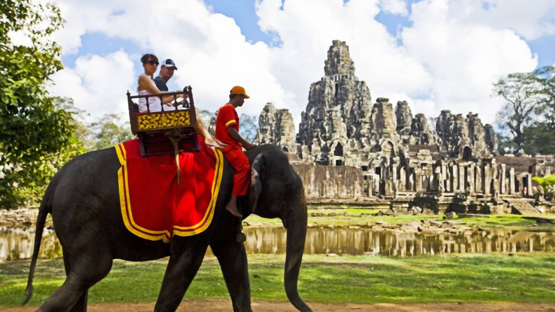 Kambodża zakazuje jazdy na słoniach w swojej najsłynniejszej atrakcji turystycznej