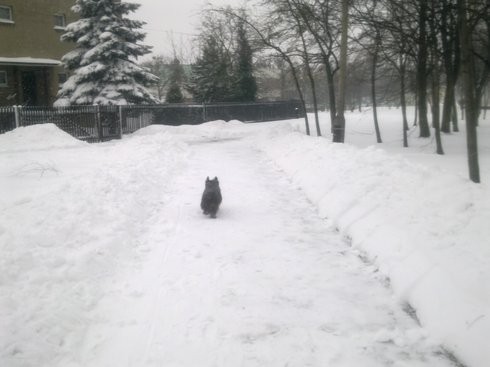 Tarnowskie Góry po opadach śniegu, Fot. MEGAN42/Daj znać!