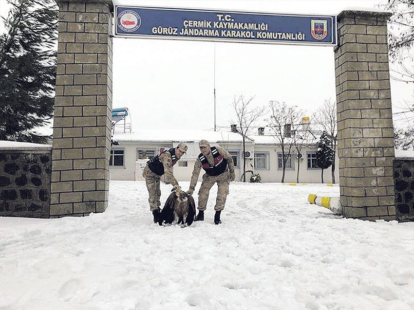 Iznemoglu na nepristupačnom terenu, našao ju je pastir koji nije mogao da pomogne, ali su u pomoć priskočili graničari