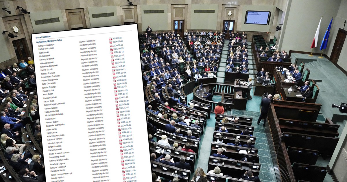 Pracują dla posłów "za darmo". Rekordzista ma ich 70