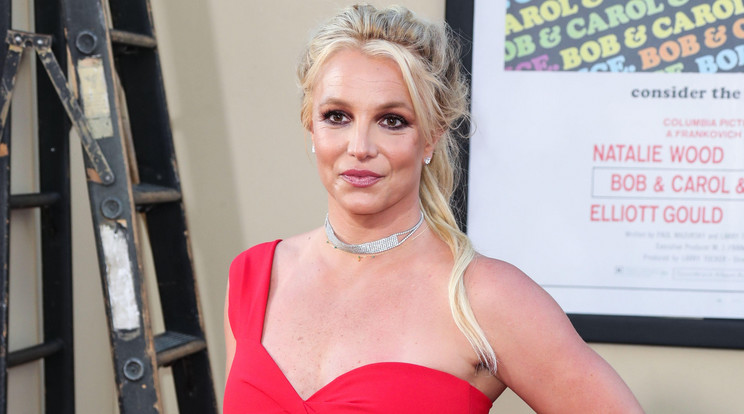 Britney Spears egy kígyót tetováltatott magára /Fotó: Northfoto