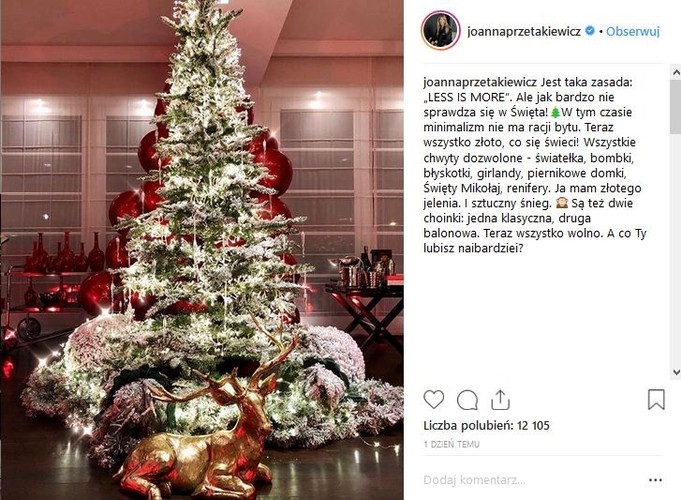 choinka Joanny Przetakiewicz