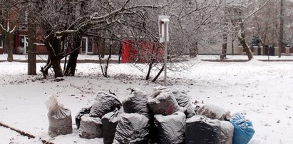 Nie sprzątnęli przed zimą