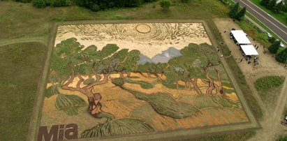 Rolnik wykasza na swoim polu dzieła sztuki