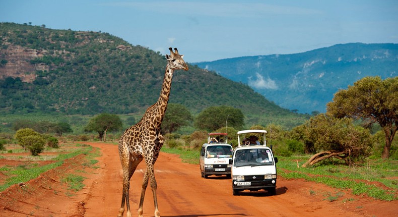 Tourists during a past tour of Tsavo East