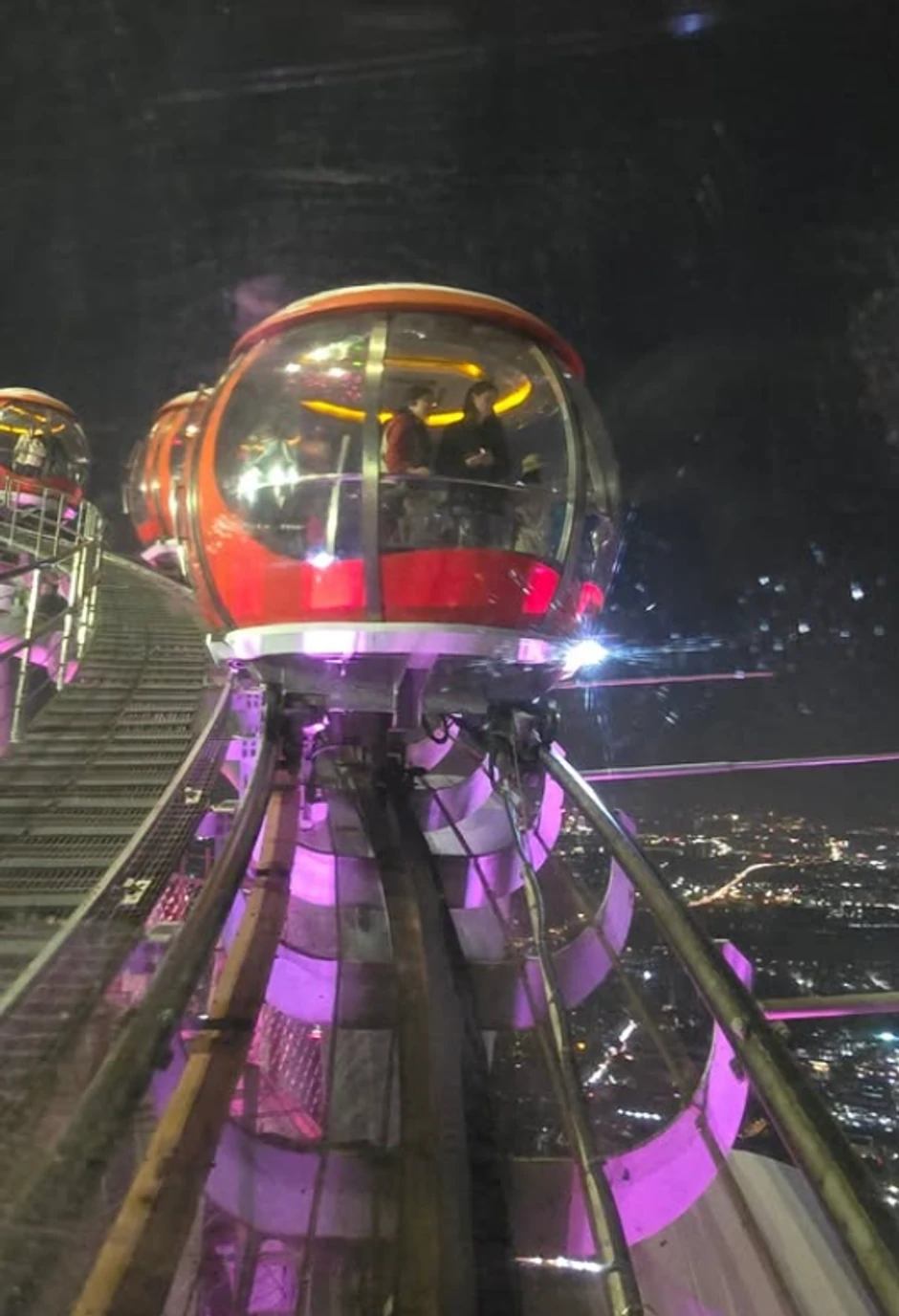 Dragana Bekvalac, objava