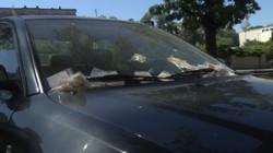 Mandatowy rekordzista w Łodzi. "Właściciel zobaczył, machnął ręką i poszedł"