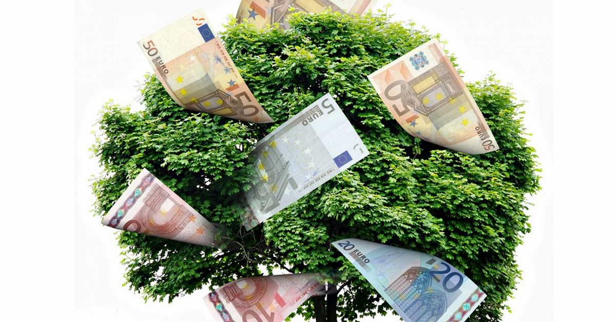 Wiech: Winna ocieplaniu się klimatu jest konsumpcja, a nie kapitalizm [WYWIAD] - Vimarsana News