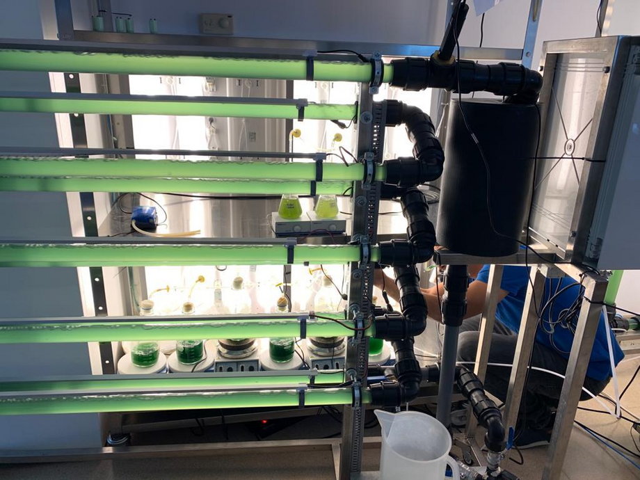 Laboratorium firmy UVera, która z bakterii produkuje pigment chroniący przed promieniami UV