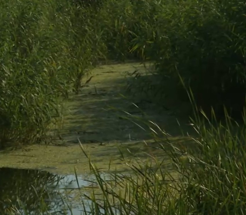 Kanal u kome je pronađeno telo Ruskinje Ljudmile