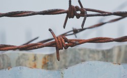 Spalenie kukły Żyda, mur przeciwko uchodźcom... Proste recepty na wszystko