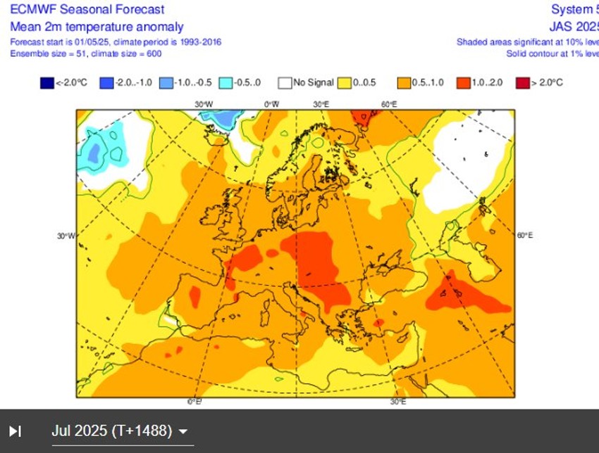 Jul će biti najtopliji mesec 2025.