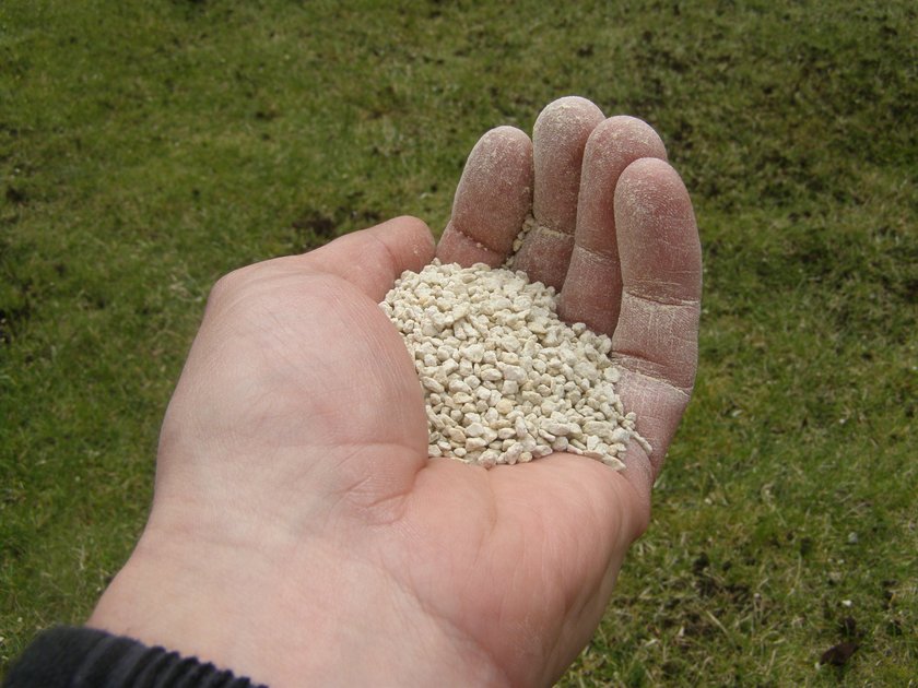 Tani sposób na piękny trawnik