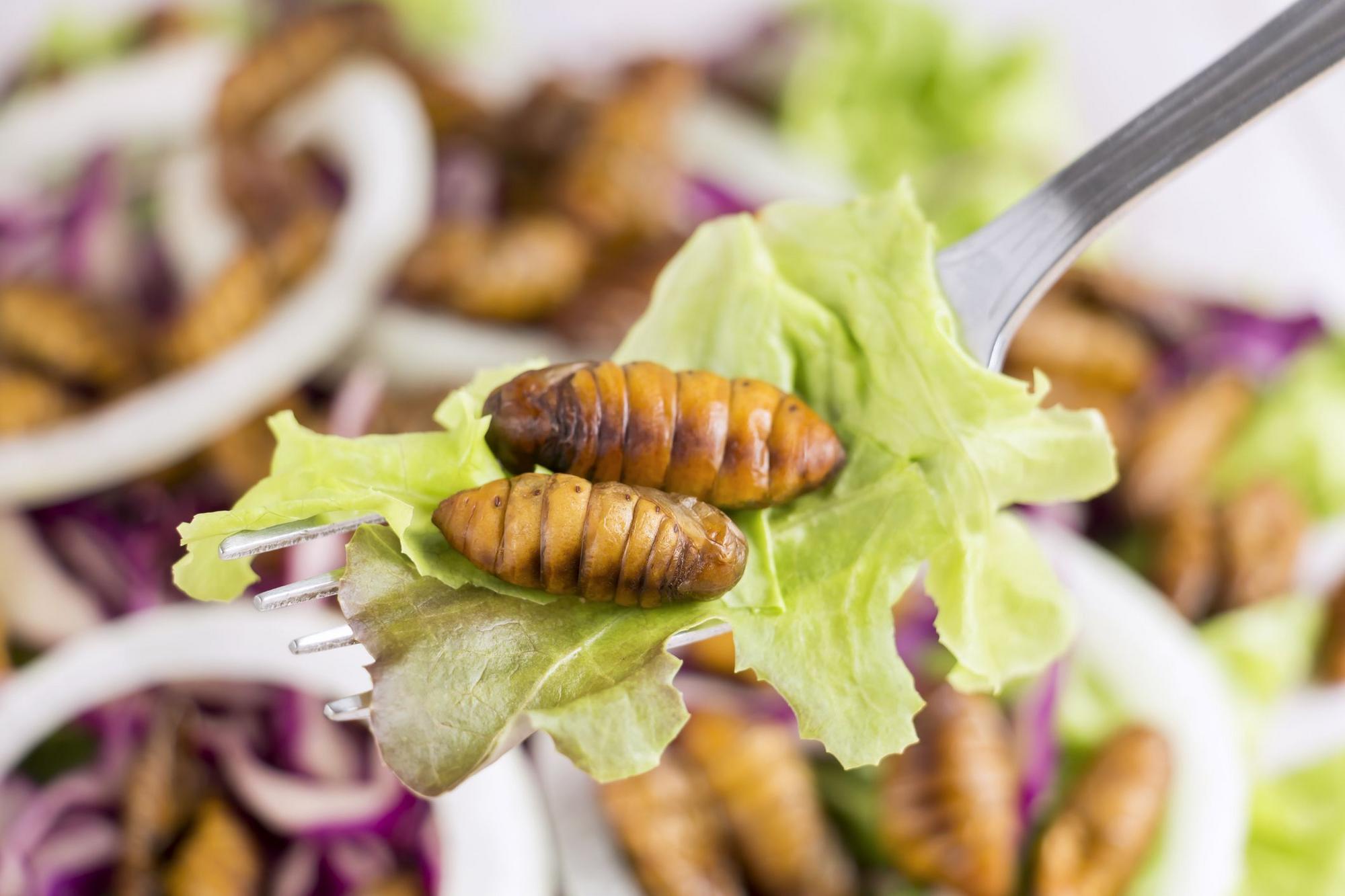 Bude hmyz revolúciou v stravovaní?