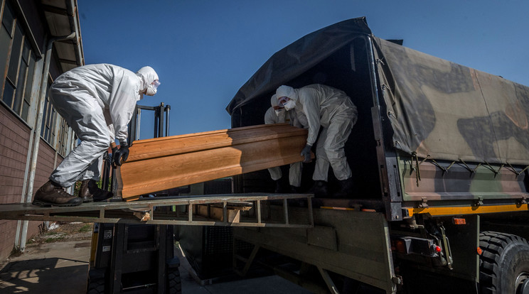 A Honvédelmi Irányító Törzsek munkatársai segítik a munkát több magyar vállalatnál is. /Fotó:NorthFoto