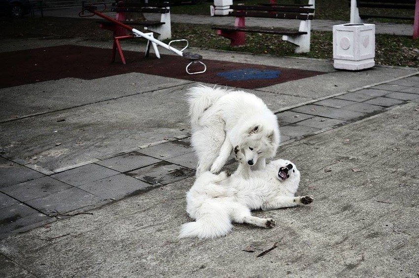 Nekoliko trenutaka strasti može da proizvede silne glavobolje