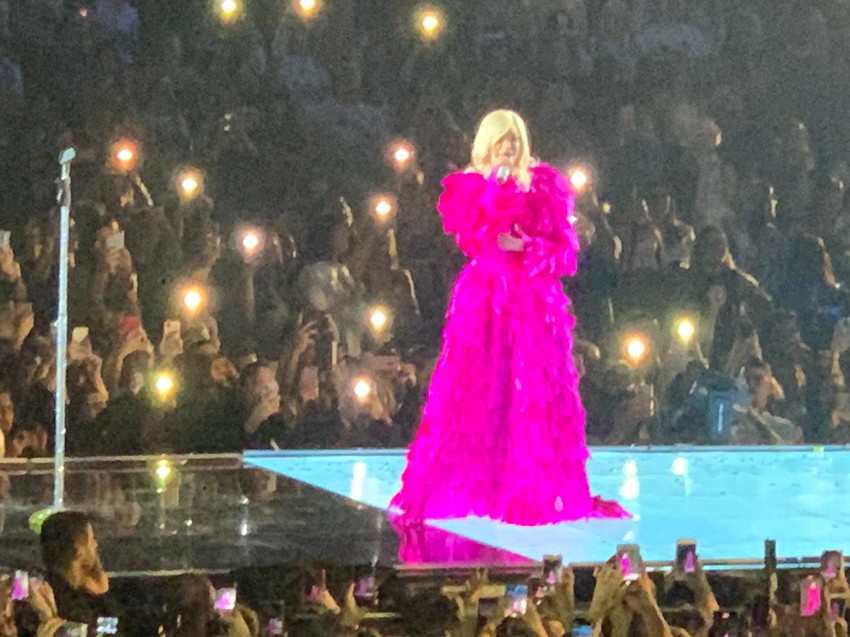 Nataša Bekvalac u Areni u pink haljini od perja