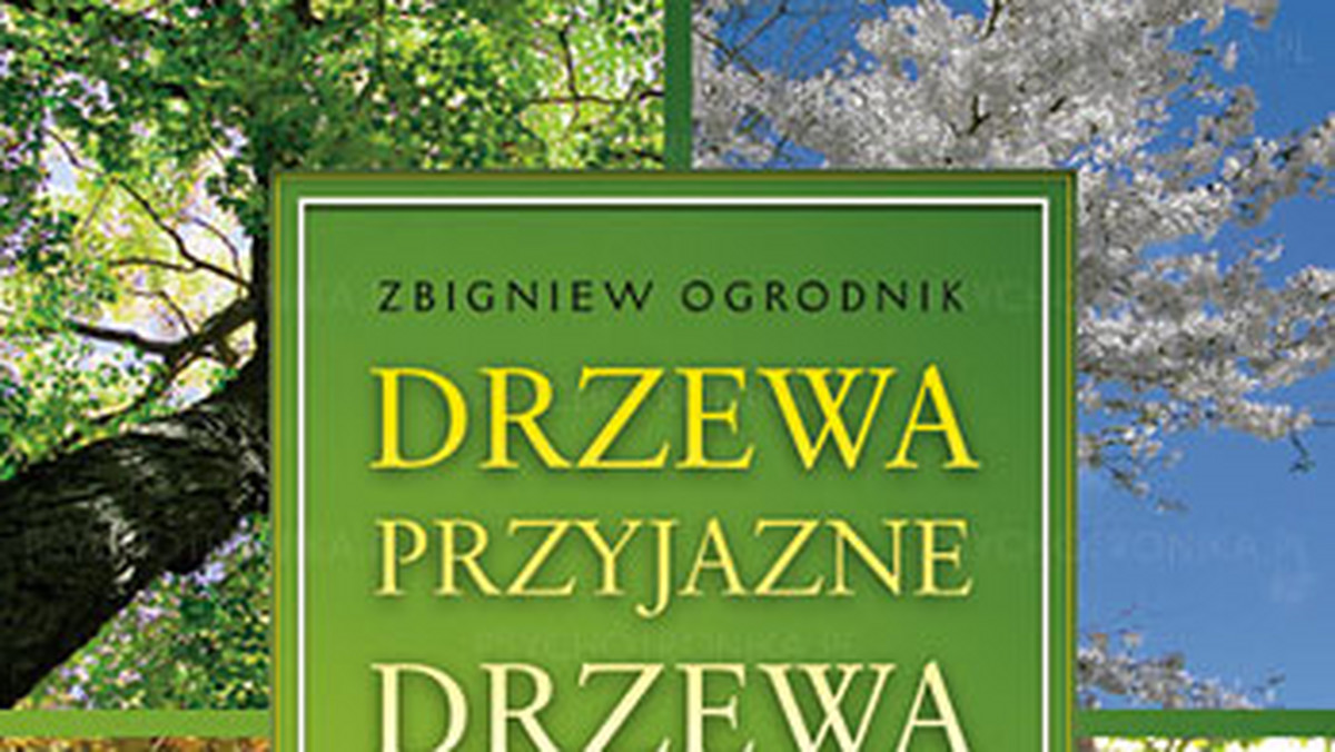 "Najprostszym sposobem czerpania energii z drzew jest spacer po lesie. Podczas takiej przechadzki wystarczy się zrelaksować, głęboko oddychać i napawać się widokami i kolorami. To już będzie bardzo wiele znaczyło dla naszego organizmu".