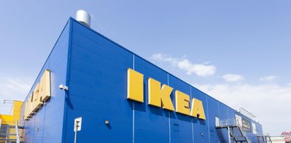 IKEA odkupi używane meble od klientów! Rusza nowy program