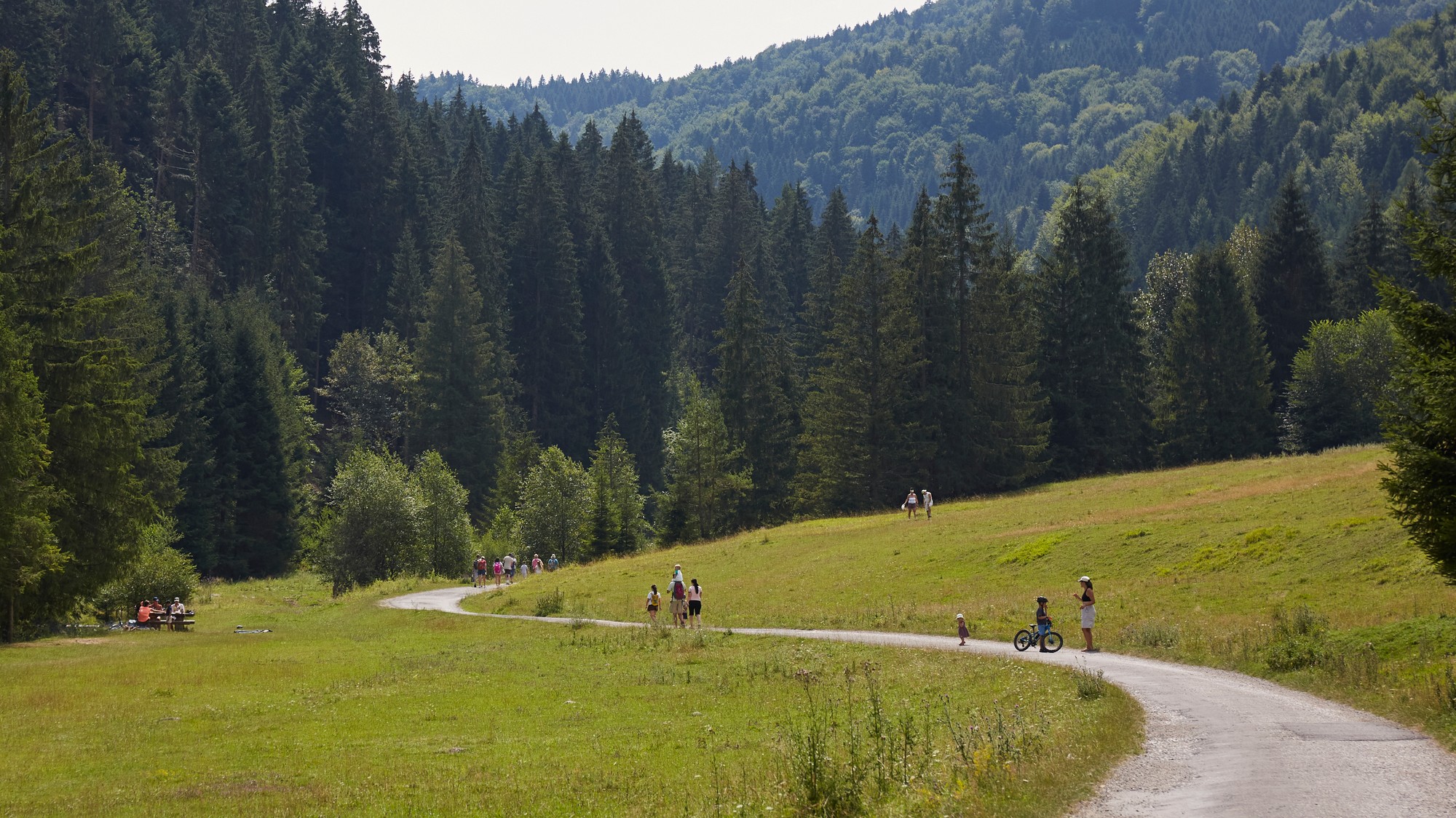 NP Veľká Fatra zaznamenal takmer tropický deň vo výške 1315 m n. m.