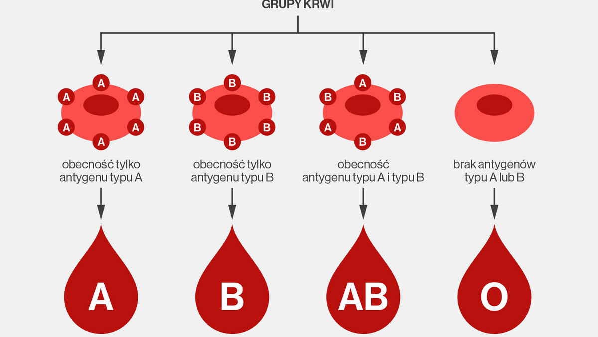 Grupę krwi oraz czynnik Rh dziedziczymy po rodzicach. Co ważne, czasami dziecko może mieć zupełnie inną grupę krwi oraz Rh niż mają jego rodzice. Z czego to wynika i jaka jest szansa na konkretną grupę krwi u twojego dziecka?
