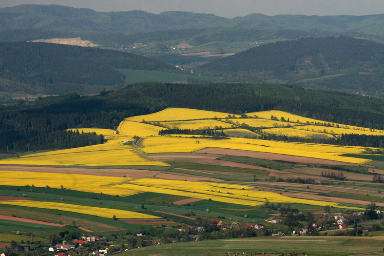 Karłów i Góry Stołowe, widok ze Szczelińca Wielkiego (919 m n.p.m.)