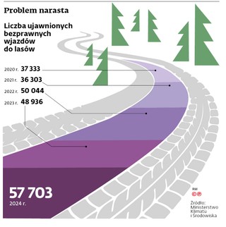 Problem narasta