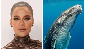 Khloe Kardashian complained that her kids aren't giving her an easy time about her whale-phobia.Taylor Hill/FilmMagic // Getty Images