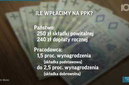 Jak działają Pracownicze Plany Kapitałowe. Oto najważniejsze zasady