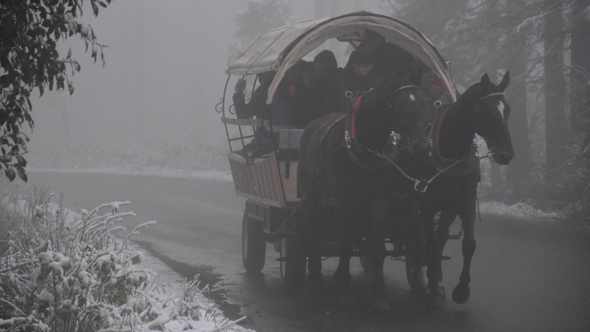 Na trasie do Morskiego Oka odbyły się pierwsze testy prototypowego wozu konnego ze wspomaganiem elektrycznym. Takie rozwiązanie ma odciążyć konie pracujące przy transporcie turystów. Testy wypadły pozytywnie – ocenił we wtorek dyrektor TPN Szymon Ziobrowski.