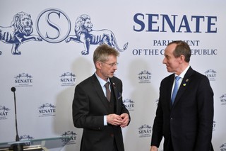 Marszałkowie Senatów Polski i Czech wystosują apel do przewodniczących parlamentów o większe wsparcie Ukrainy