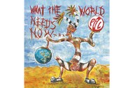 Public Image Ltd What The World Needs Now...