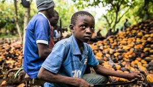 Child labour problem in Nigeria worst in Southeast, Northwest 