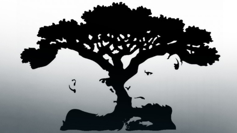 To Co Widzisz Na Tym Obrazku Powie Ci Wiele O Twojej