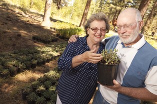 Odwrócona hipoteka: Ziemia rolna da dodatkowe świadczenie na emeryturze