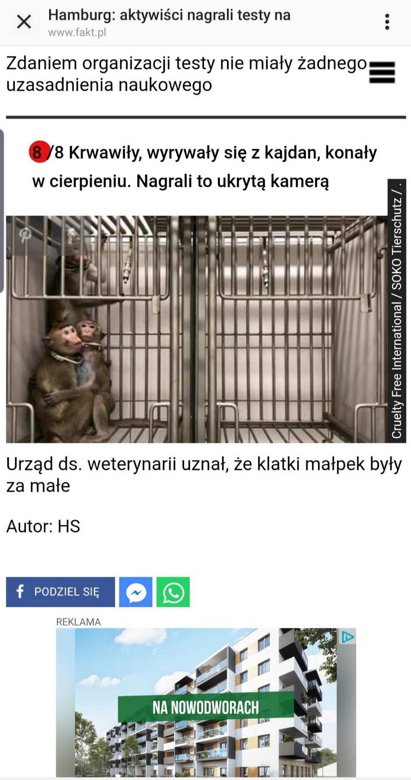 Screeny z artykułu Faktu