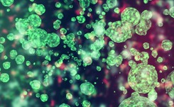 Każdy drobnoustrój, także koronawirus, może wywołać sepsę. Jak zapobiegać?