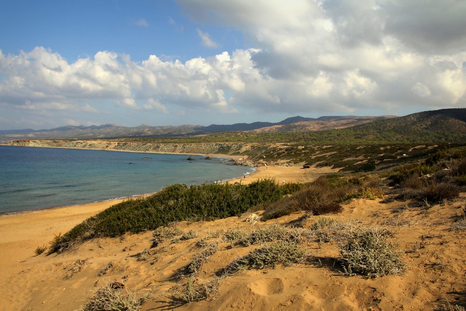 Plaża Lara na Półwyspie Akamas