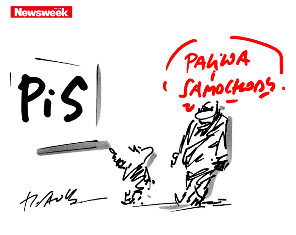 sawka pis paliwo