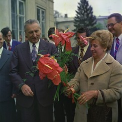 Żona Gierka czesała się w Paryżu? Głośna plotka czy prawda czasów PRL?