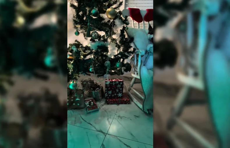 Dejan Dragojević pokazao novogodišnju dekoraciju