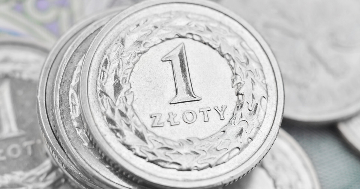 Polish zloty forecast.  A number of positive factors will affect the stock