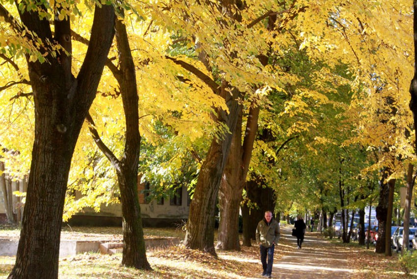 Početkom sledeće nedelje i dalje relativno toplo