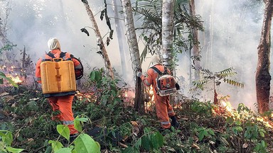 Południowa Afryka w ogniu. Nie tylko Amazonia i Arktyka płoną