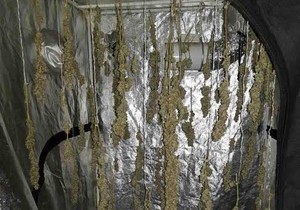 Laboratorija za uzgoj marihuane u Zaječaru, uhapšen M.S. (31)